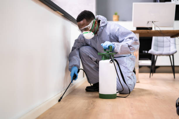 Best Pest Exclusion Services  in Mount Healthy Heights, OH